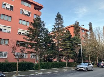 Otaş Sitesinde Mükemmel 4+1 Daire