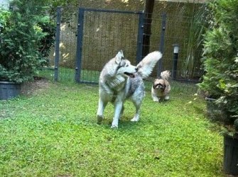 Koza Sitesinde Keyifli Bahçe katı..